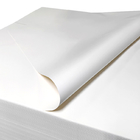 Χαρτί εκτύπωσης 100% Virgin Wood Pulp Lint Free Copy For Cleanroom